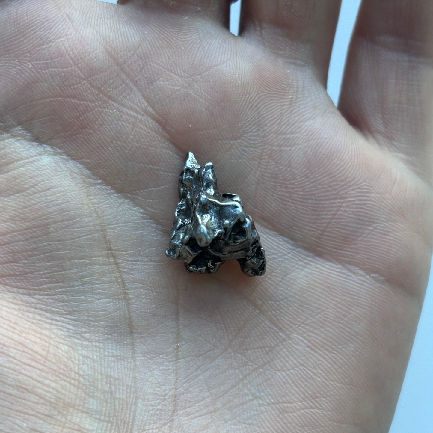 Campo del Cielo Iron Meteorite