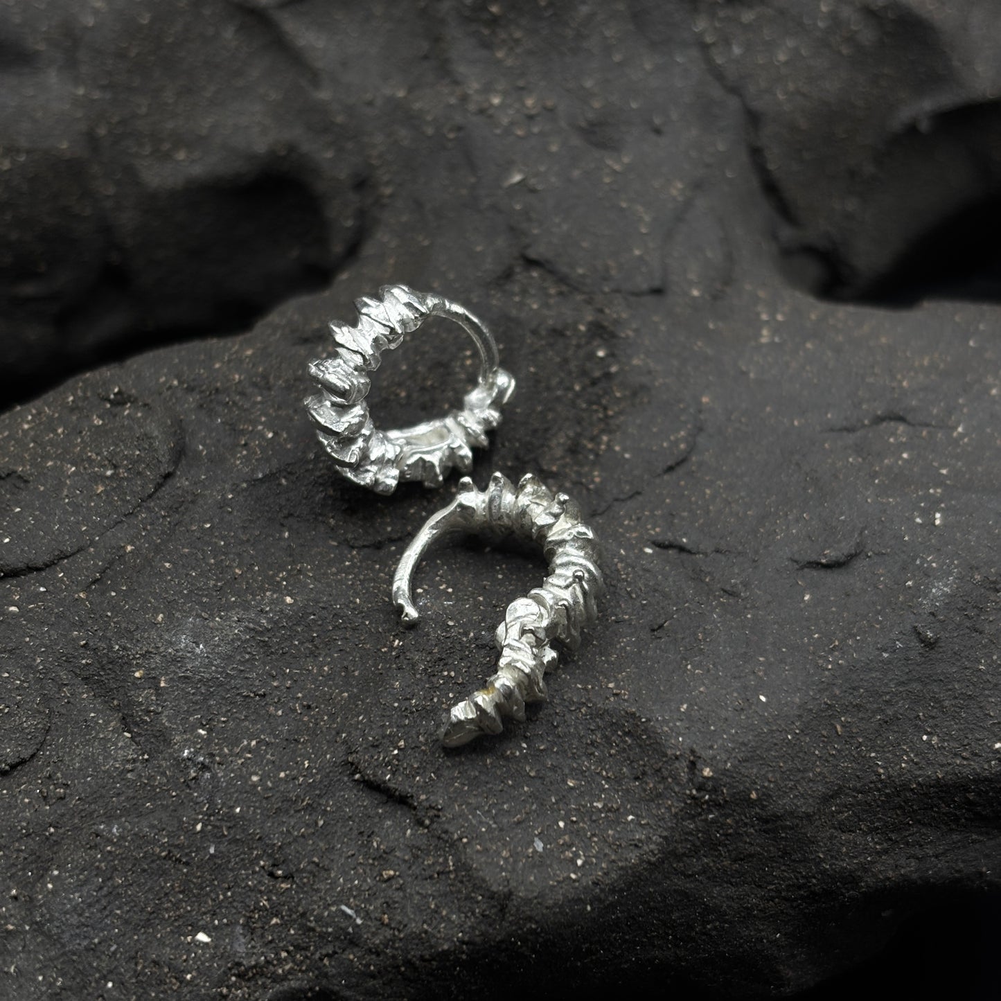 Mini Centipede (per piece)