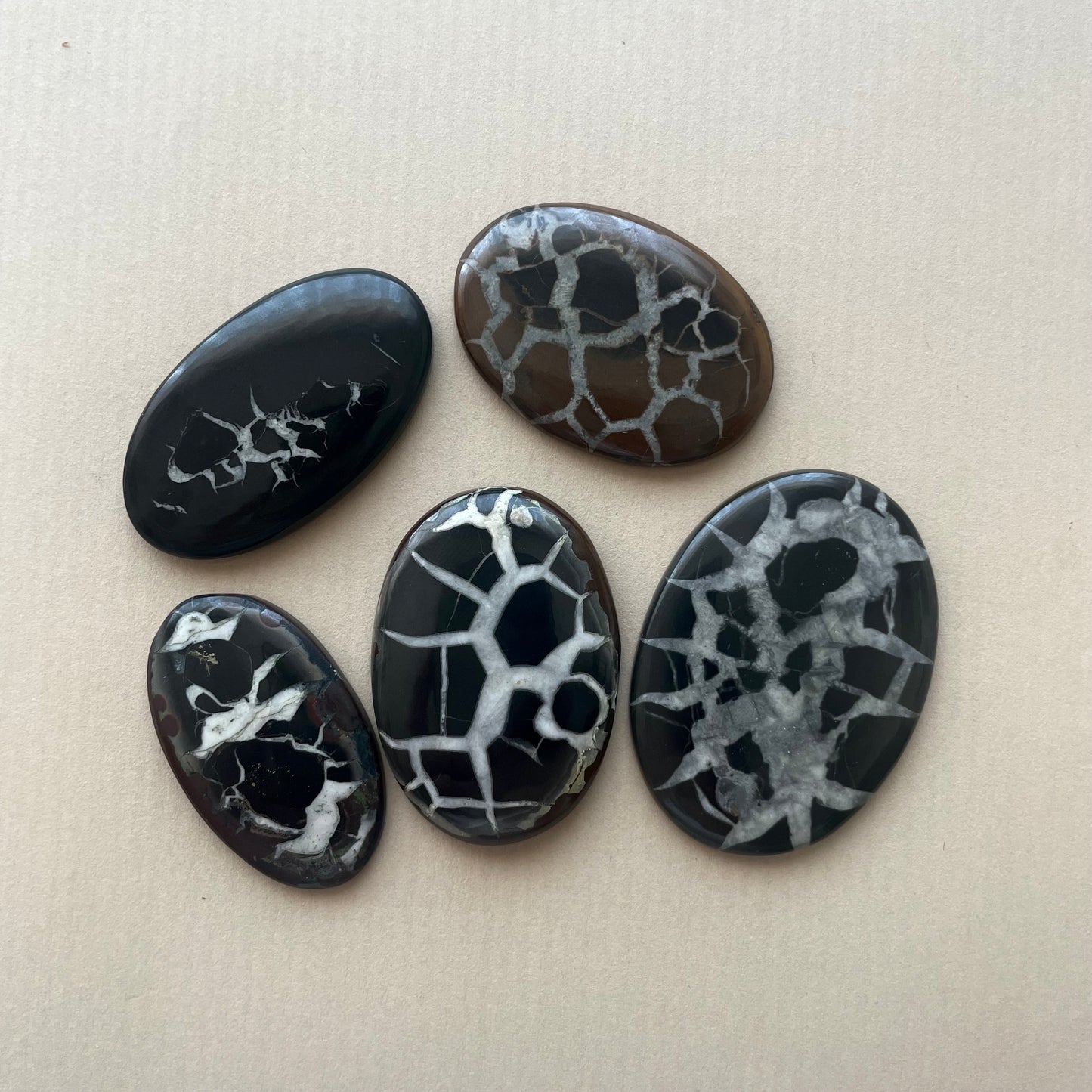 Black Septarian