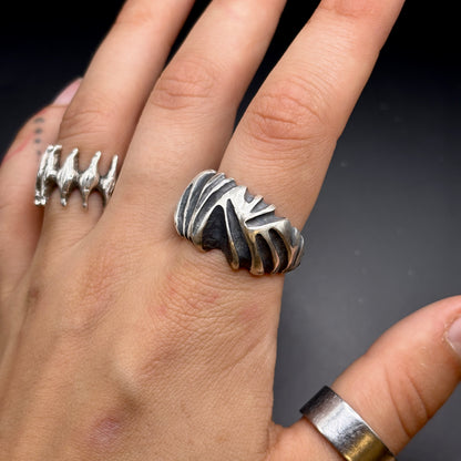 Curve Ring