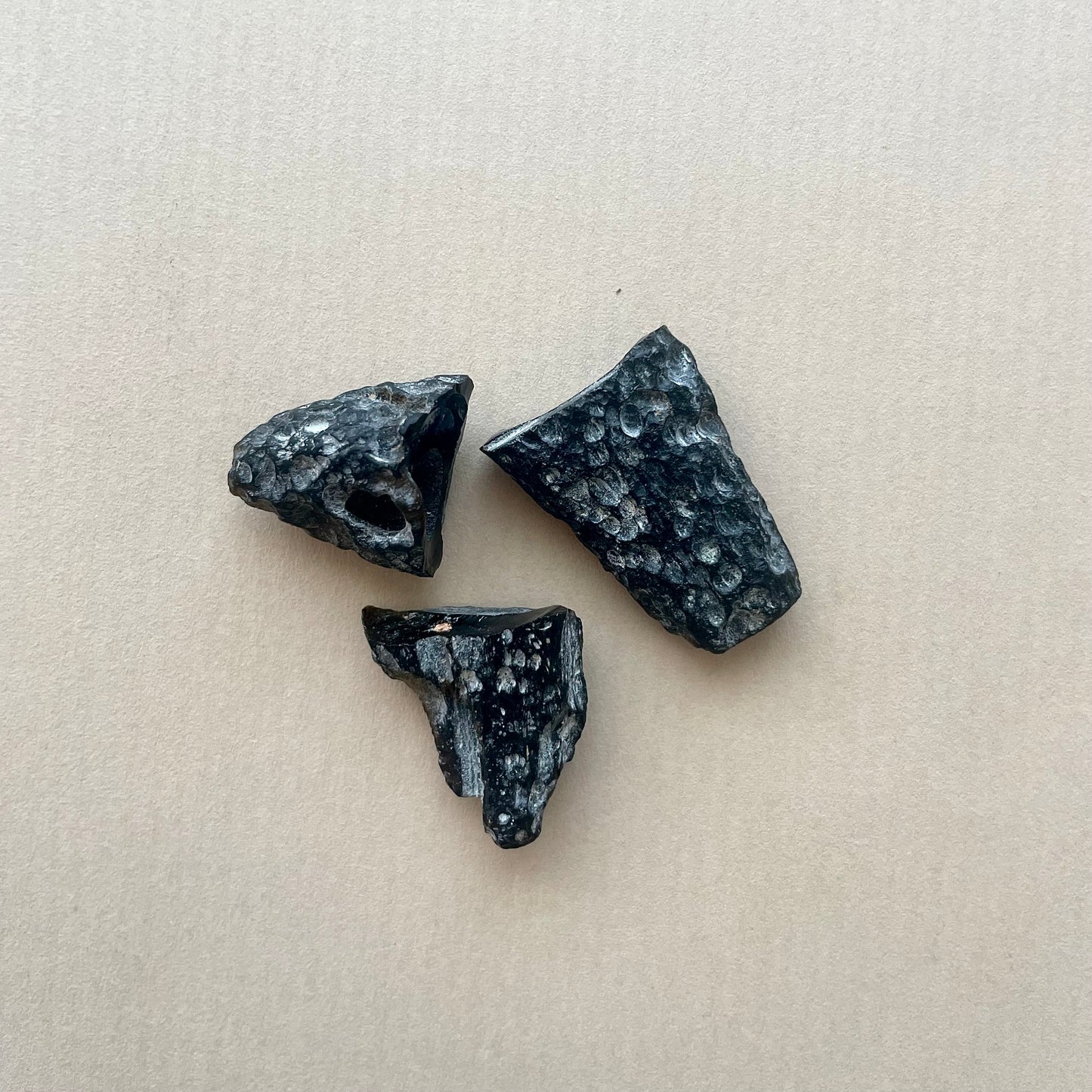 Meteorite