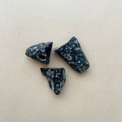 Meteorite