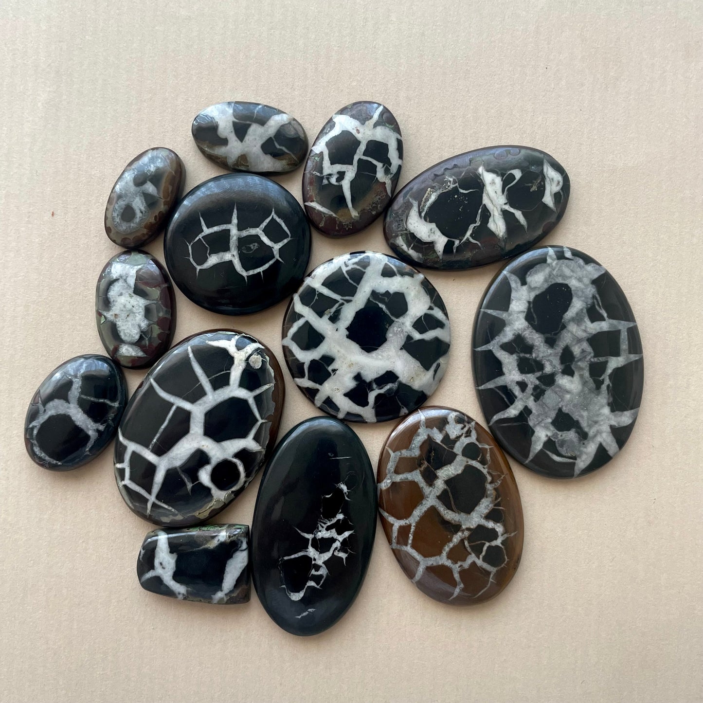 Black Septarian