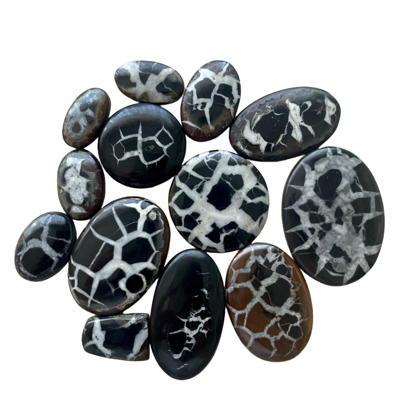 Black Septarian