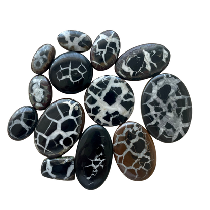 Black Septarian