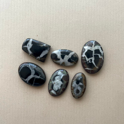 Black Septarian