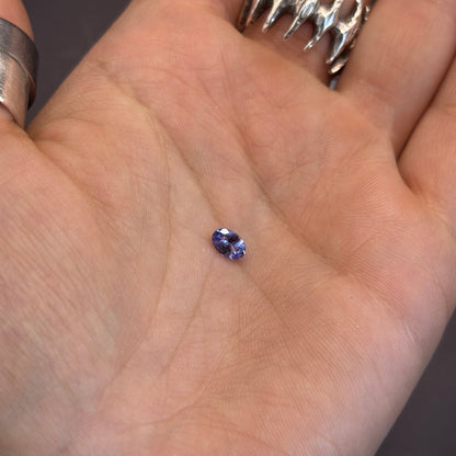 Tanzanite Faceted Oval