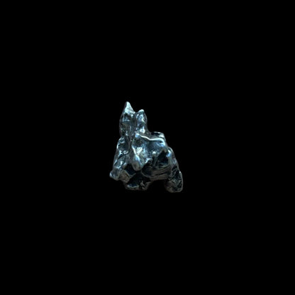 Campo del Cielo Iron Meteorite