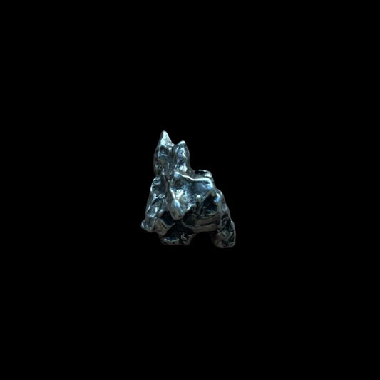 Campo del Cielo Iron Meteorite