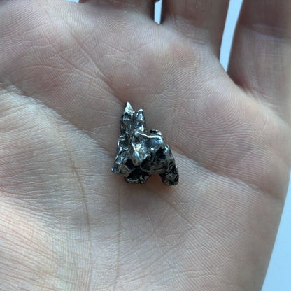 Campo del Cielo Iron Meteorite