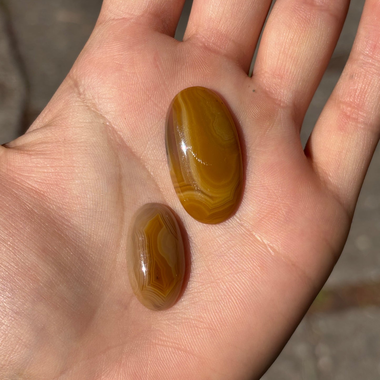 Laguna Agates Cabochons