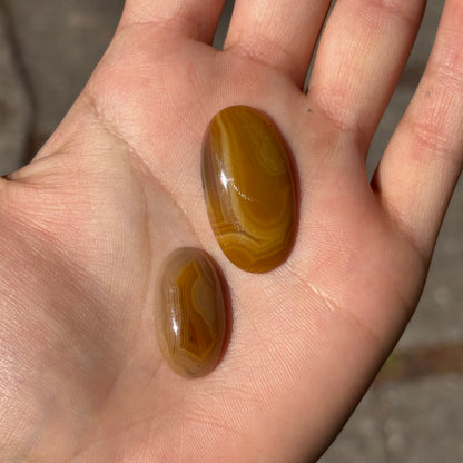 Laguna Agates Cabochons