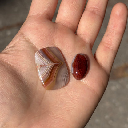 Laguna Agates Cabochons Reds