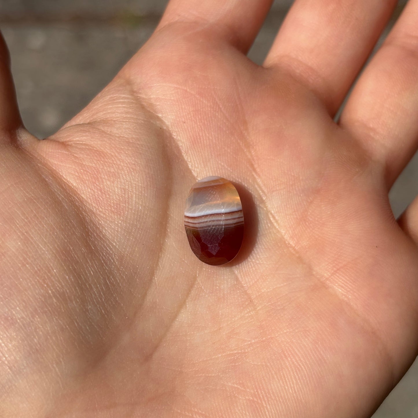 Laguna Agate Faceted Red