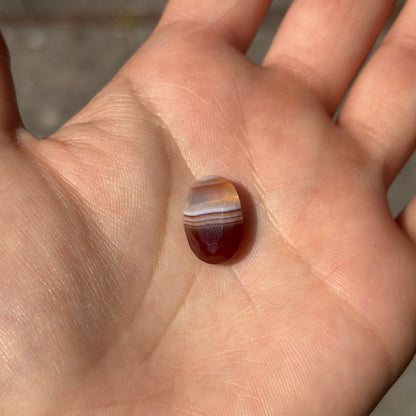 Laguna Agate Faceted Red